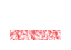 reset